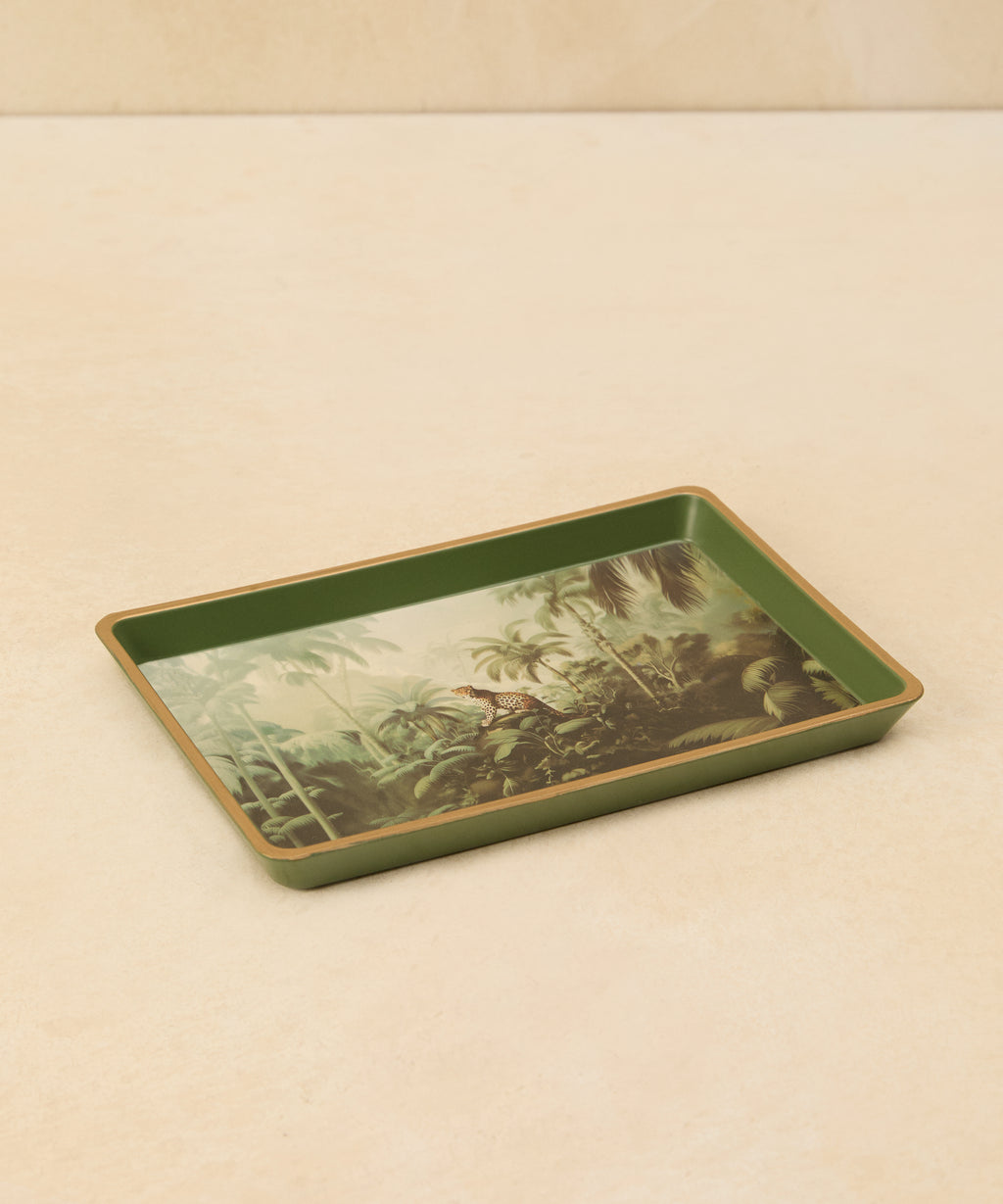 Image 6